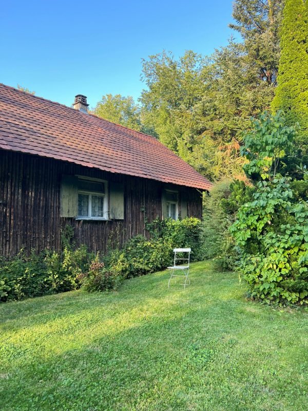 pexels-arti-f-gold-26345756-34247617 pexels-arti-f-gold-26345756-34247617